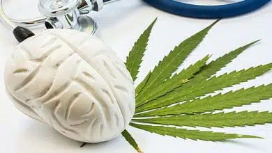 Efectos cognitivos en la mediana edad del consumo de cannabis a largo plazo