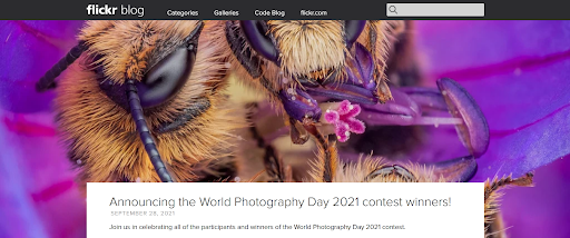 15 famosos sitios web de Wordpress que están en la cima de su juego 29 Flickr