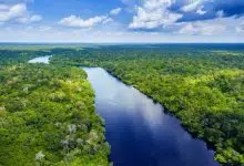¿Por qué no hay puentes sobre el río Amazonas?