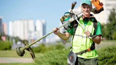 ¿Cómo puede el marketing en línea beneficiar a mi empresa de paisajismo? 7 How Can Online Marketing Benefit My Landscaping Company?