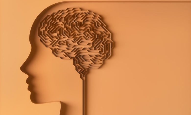 Cómo nuestro cerebro preserva nuestro sentido del yo 1 Cómo nuestro cerebro preserva nuestro sentido del yo