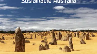 Conocer de cerca a Australia: 5 maneras de explorar Australia 6 Conocer de cerca a Australia: 5 maneras de explorar Australia