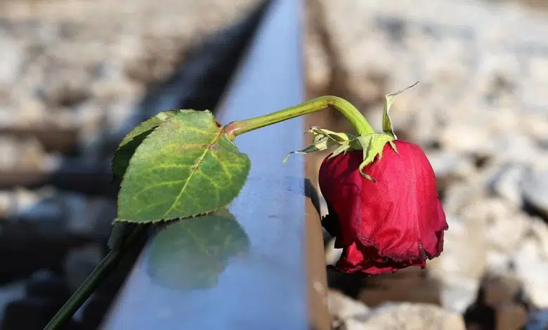 El 024 de España atenderá llamadas en idiomas extranjeros 1 El 024 de España atenderá llamadas en idiomas extranjeros