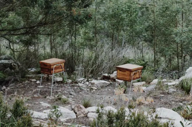 Formas sencillas de ayudar al medio ambiente y ahorrar dinero en el proceso 1 Formas sencillas de ayudar al medio ambiente y ahorrar dinero en el proceso