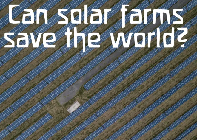 Granjas solares: ¿Son la estación de energía verde que el mundo necesita? 1 build solar farm fields