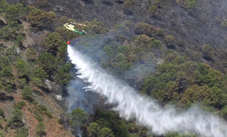 Incendio que obligó a evacuar a miles en España bajo control 1 Incendio que obligó a evacuar a miles en España bajo control
