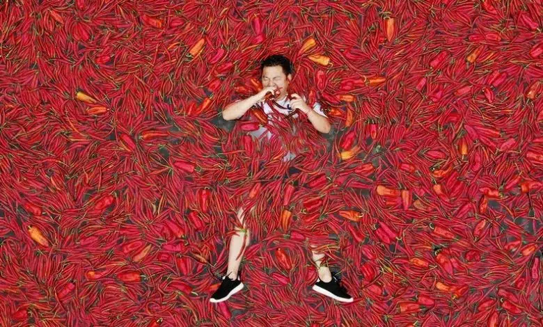 Lo que los chiles pueden enseñarnos sobre el dolor 1 Lo que los chiles pueden enseñarnos sobre el dolor