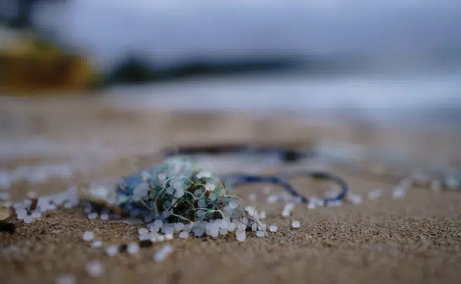 Los microplásticos se están emparejando con los contaminantes. Estas son malas noticias. 1 microplastics at sea