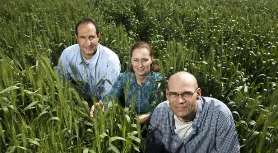 Los pasos que debe seguir para incorporar un nuevo departamento en su negocio a su equipo de comunicaciones 1 Los pasos que debe seguir para incorporar un nuevo departamento en su negocio a su equipo de comunicaciones