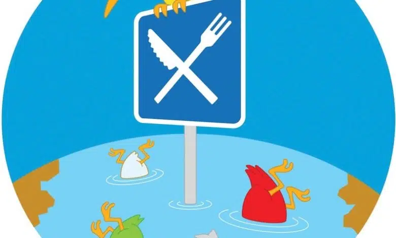 Newfound Ocean Hotspot atrae a millones de aves migratorias cada año 1 Newfound Ocean Hotspot atrae a millones de aves migratorias cada año