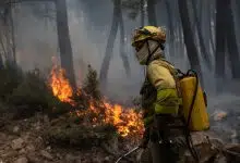 Ocho pueblos españoles evacuados por incendios forestales