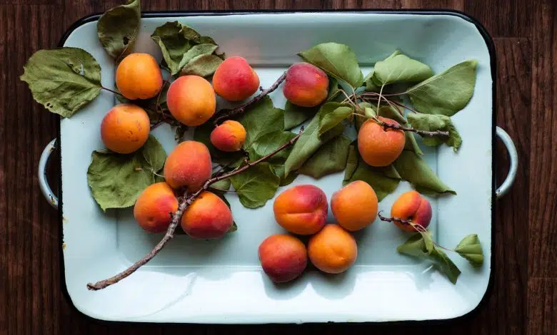 Qué hay en la temporada de mayo 1 Qué hay en la temporada de mayo - Green Prophet