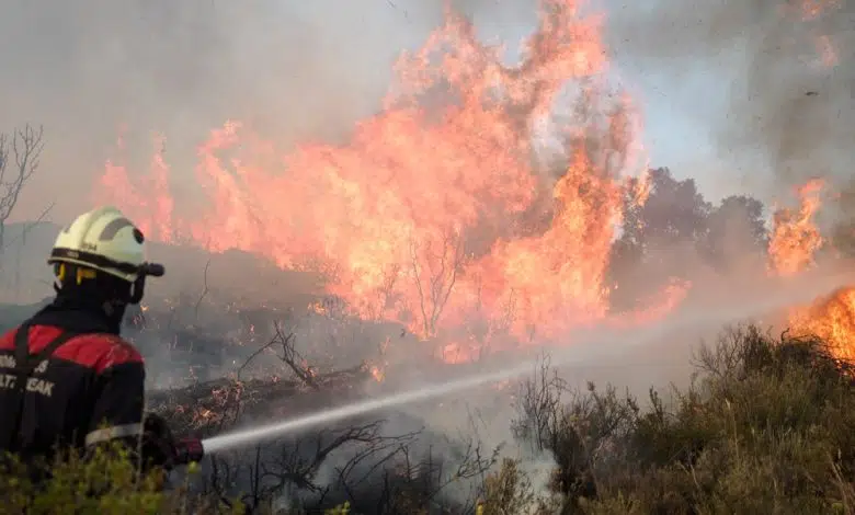 Trío de incendios provoca alarma en Cataluña mientras España sufre ola de calor 1 Trío de incendios provoca alarma en Cataluña mientras España sufre ola de calor