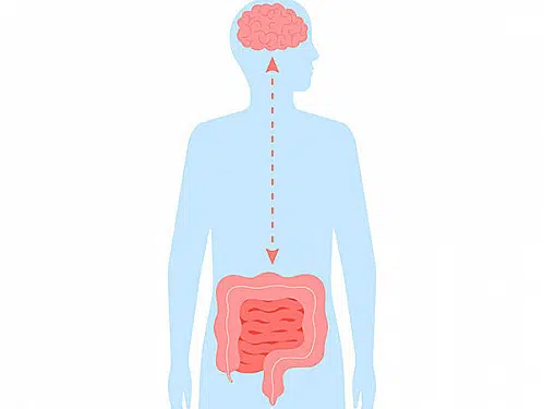Reconocimiento y tratamiento de trastornos de la interacción cerebro-intestino 1 Reconocimiento y tratamiento de trastornos de la interacción cerebro-intestino
