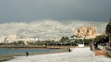 10 años de la histórica nevada en Mallorca 11 10 años de la histórica nevada en Mallorca