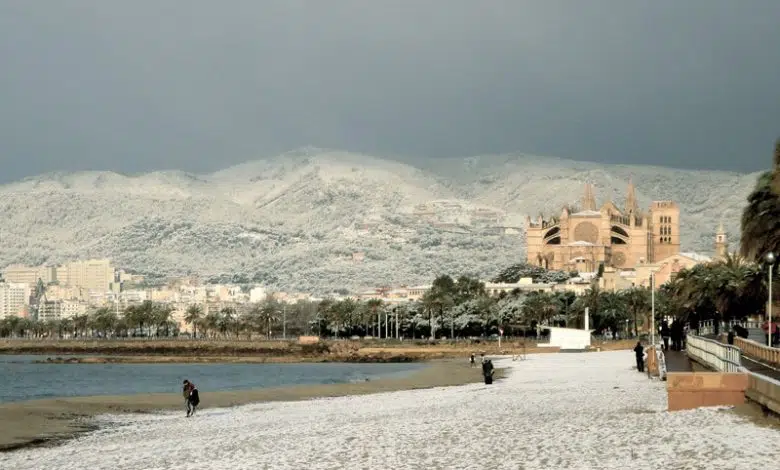 10 años de la histórica nevada en Mallorca 1 10 años de la histórica nevada en Mallorca