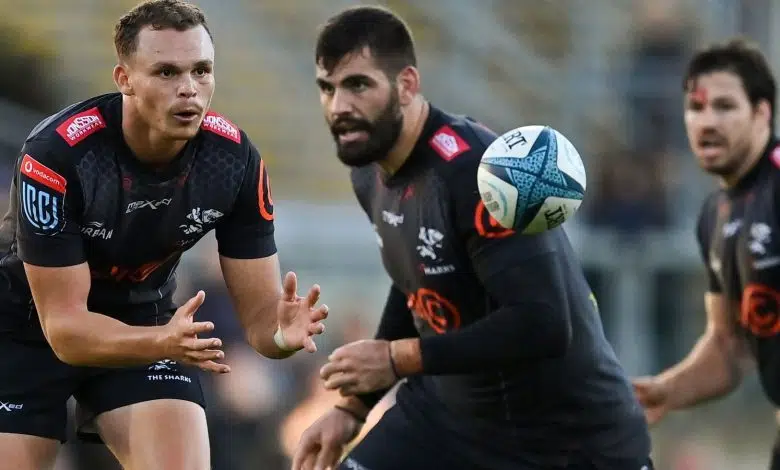 equipos sudafricanos jugarán la Copa de Campeones por primera vez | Noticias de la Unión de Rugby 1 equipos sudafricanos jugarán la Copa de Campeones por primera vez | Noticias de la Unión de Rugby