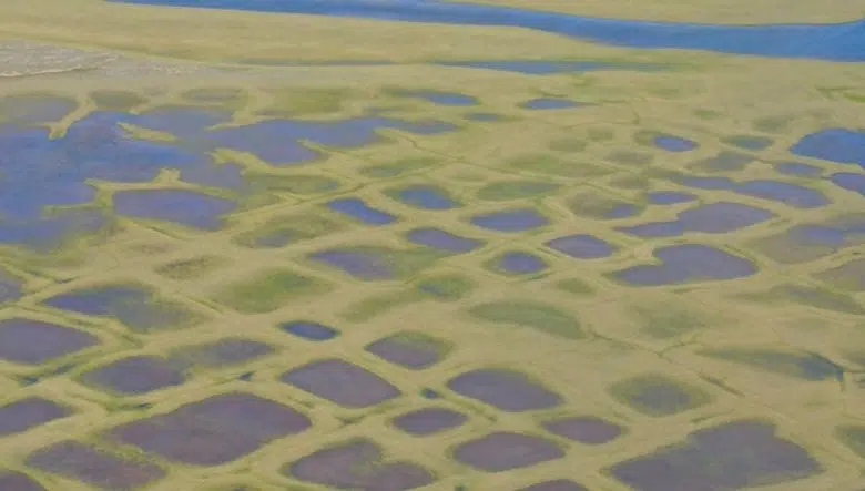 Esto es lo que podría derretirse el permafrost de Alaska 1 Esto es lo que podría derretirse el permafrost de Alaska