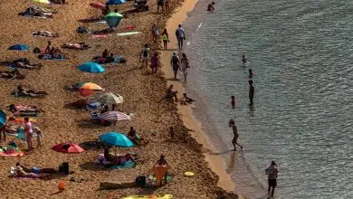 Británicos y alemanes amantes del sol impulsan la llegada de turistas a España 6 Británicos y alemanes amantes del sol impulsan la llegada de turistas a España