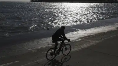 Gobierno de la ciudad planea regalar 5.000 bicicletas 9 Gobierno de la ciudad planea regalar 5.000 bicicletas