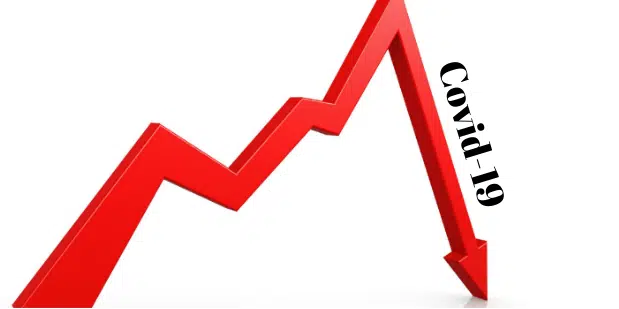 El sector TI en medio de la pandemia del "Covid-19" 1 Decline or Growth: IT Sector Amidst the Pandemic “Covid-19”