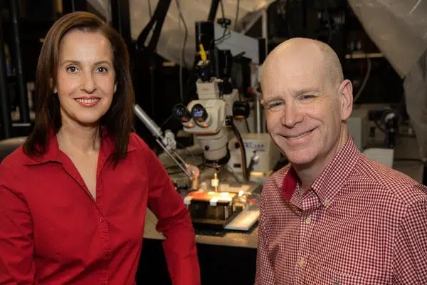 no es el final de la persecución 1 no es el final de la persecución