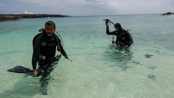 La Isla Ascensión es excepcionalmente rica 6 1659078322 315 La Isla Ascension es excepcionalmente rica