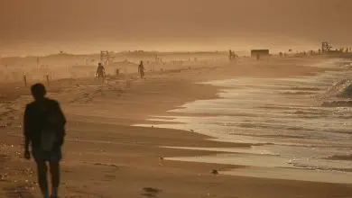 Abu Dhabi debería elegir la energía solar sobre la nuclear para sus necesidades futuras 13 Abu Dhabi debería elegir la energía solar sobre la nuclear para sus necesidades futuras