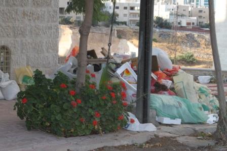 Amman está plagado de bichos de basura mientras los emiratíes gritan faltas