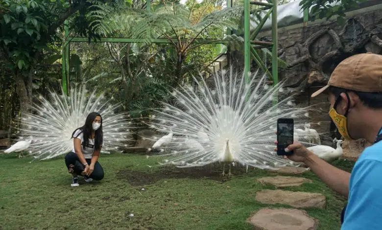 Bali puede reabrir a turistas extranjeros el próximo mes 1 Bali puede reabrir a turistas extranjeros el próximo mes