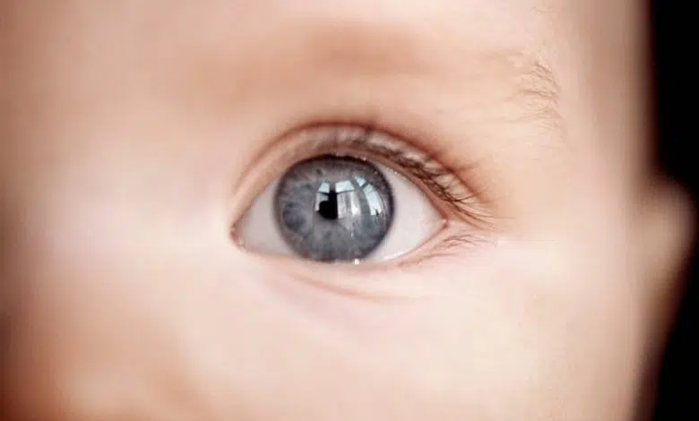 Born ready: los bebés ya están preparados para percibir el mundo 1 Born ready: los bebés ya están preparados para percibir el mundo