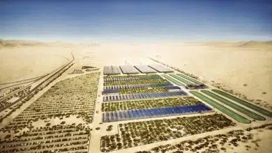 sahara forest project