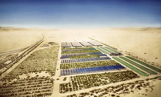 Bosque de Noruega en Aqaba, ¿no es agradable? 1 sahara forest project