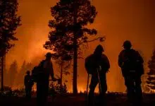 California se prepara para otra desastrosa temporada de incendios forestales
