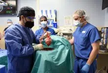 Cirujanos estadounidenses trasplantan corazón de cerdo a un adulto por primera vez