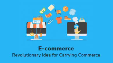 E-commerce- Revolutionary Idea for Carrying Commerce