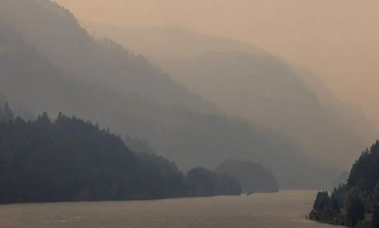 Cómo las olas de calor récord están alimentando la ansiedad climática 1 Cómo las olas de calor récord están alimentando la ansiedad climática