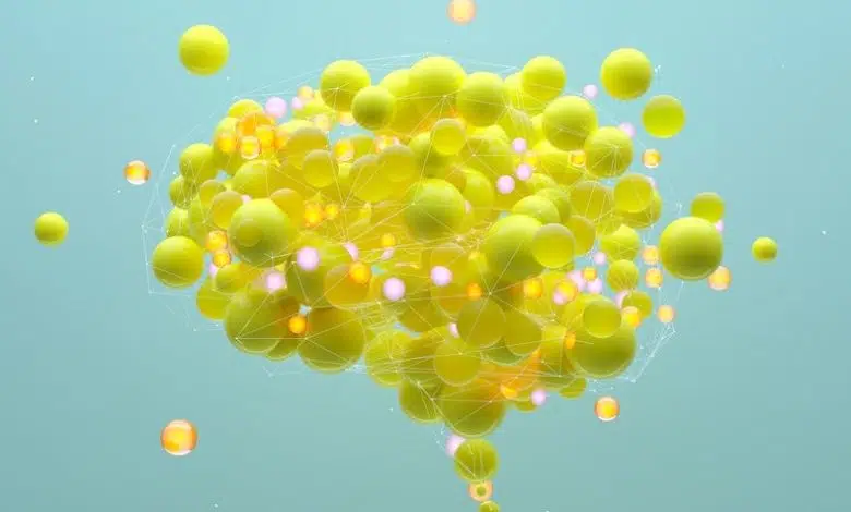 Cómo responde el cerebro a la belleza 1 Cómo responde el cerebro a la belleza