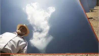 Conozca a Arnold Goldman - Profeta verde de BrightSource 6 david goldman brightsource luz II