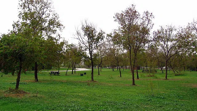 Densa ciudad israelí respira aire fresco con nuevo parque 1 "city park israel"