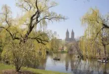 El Central Park de Nueva York se convierte en un laboratorio climático viviente