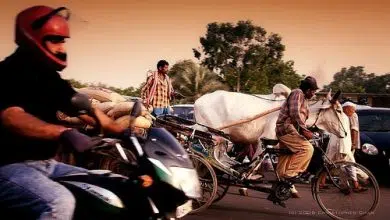 El Día Mundial de la Disponibilidad lanza un desafío de transporte global 9 El Día Mundial de la Disponibilidad lanza un desafío de transporte global