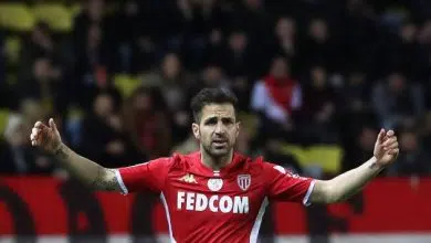 El Las Palmas rechaza la posibilidad de fichar a Cesc Fábregas 8 El Las Palmas rechaza la posibilidad de fichar a Cesc Fábregas