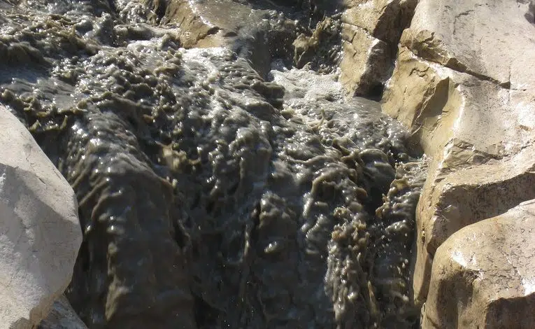 El Ministerio de Defensa de Israel suspende el tratamiento de aguas residuales 1 raw sewage jerusalem dead sea