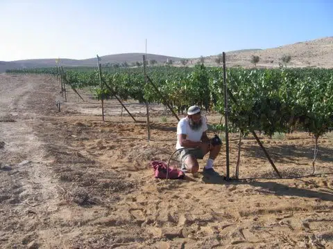 El cambio climático puede no hacer nuestro vino 1 agriculture, wine, climate change, environment, Negev Desert, Derech Eretz Winery, Israel