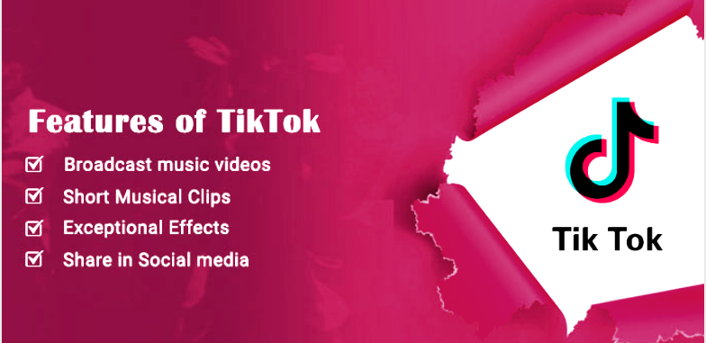 Características de desarrollar una aplicación móvil como TikTok