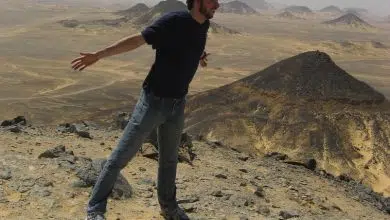 El gobierno egipcio invertirá en energía eólica del presupuesto de energía renovable de $ 110 mil millones 6 wind egypt desert photo