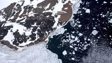 El hielo marino antártico alcanzó un mínimo histórico;  Ahora los científicos creen que saben por qué