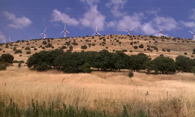 El primer ministro israelí declara un parque eólico de 155 MW en los Altos del Golán como un "proyecto nacional" 1 Wind energy in the Golan Heights