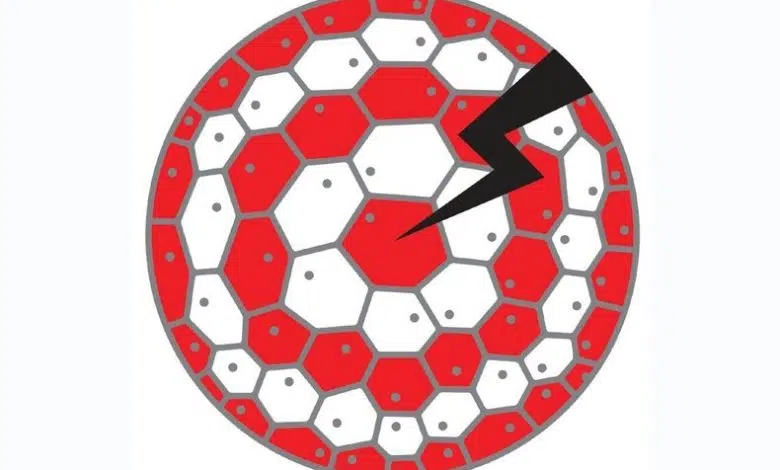 El proceso de construcción construye circuitos cerebrales. 1 El proceso de construcción construye circuitos cerebrales.